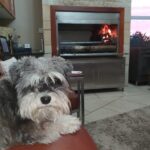 IMG-20190505-WA0002